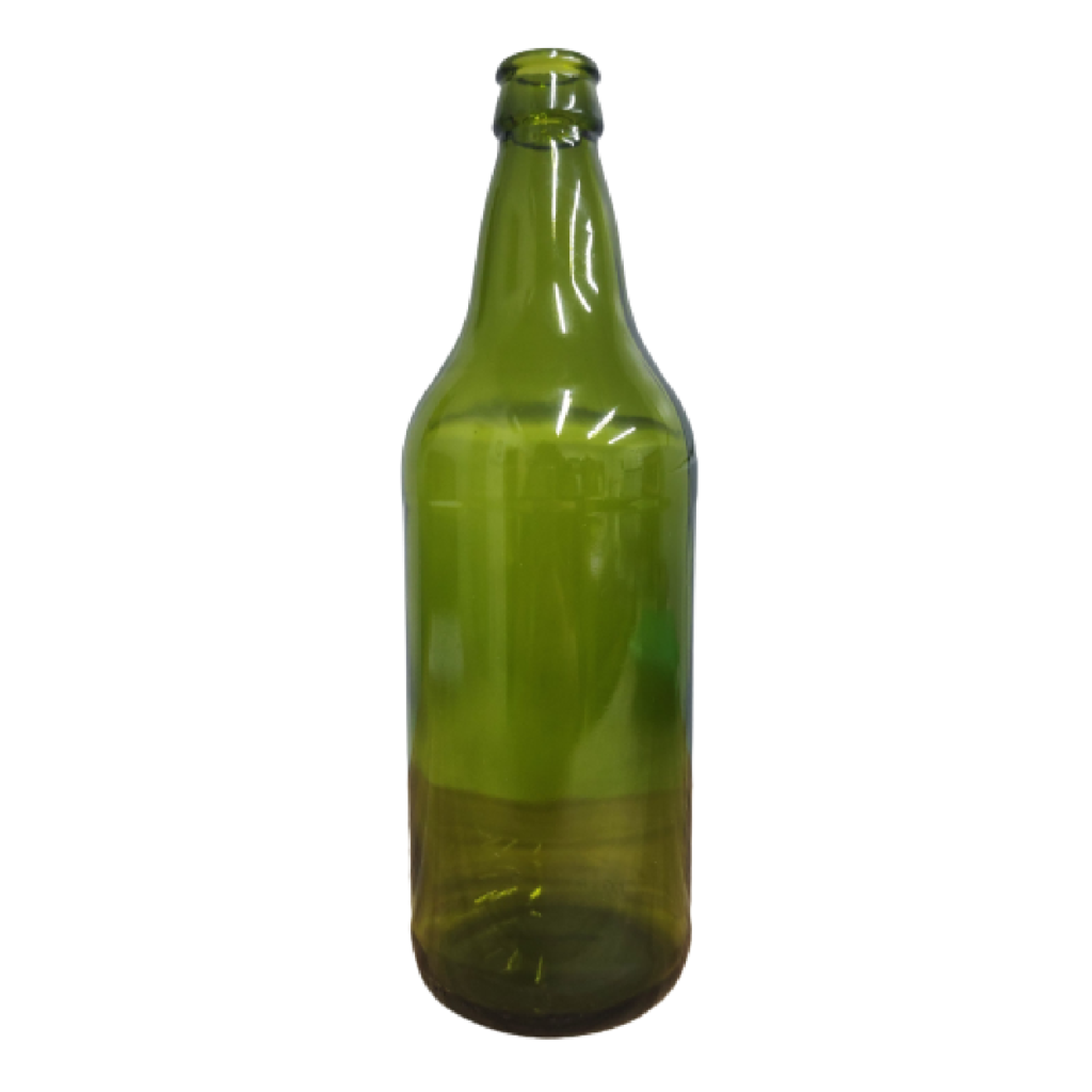 CERVEJA 600 GENERICA
